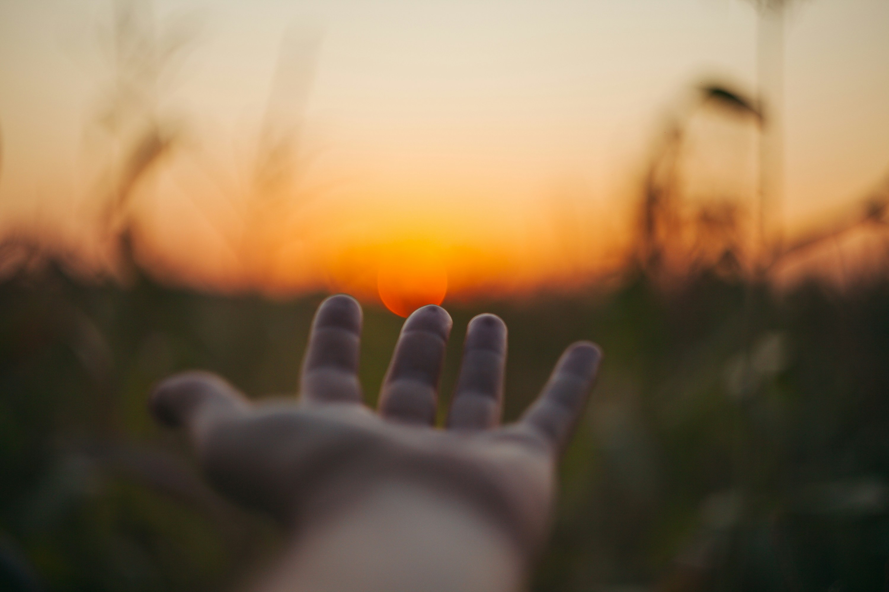 reaching open hand